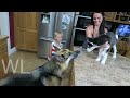 RIP Zeus Atwood  Best Moments of Zeus Atwood & Tribute  RomanAtwood Vlogs