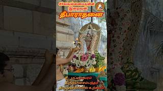 பட்டீஸ்வரம் திருஞானசம்பந்தர் திருமுலைப்பால் அளித்தல் உற்சவம் தீபாராதனை GodAlmightyTamil #sambandar