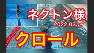 【クロール】ネクトン様　20220307 一礼会