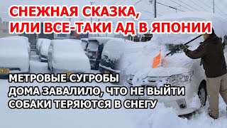 Снежная буря и снегопады в Японии. На Хоккайдо пришел страшный шторм и дома завалило по самые крыши