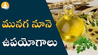 Powerful Health Benefits Of Moringa Oil |Drumsticks Leaves | #drcalmssanjeevani #moringa #drumsticks