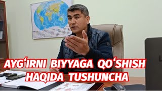 AYGʻIRNI BIYYAGA QOʻSHISH HAQIDA TUSHUNCHA JAHONGIR XOJI AKADAN