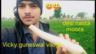 aaj khett mai moora khaye !! #Vickyguneswalvlog