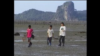 พาดำดิ่งชมบ้านใต้ทะเลของพะยูน