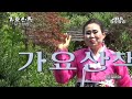 박장옥 강원도아리랑 청주방송 박영조 감독