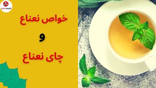 خواص نعناع و چای نعناع