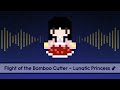 【Touhou Lyrics】 Flight of the Bamboo Cutter ~ Lunatic Princess