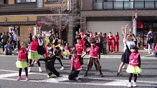 しょうぶ @ 瑞浪バサラカーニバル バサカニ (公園線北会場) 2019-12-15T11:35