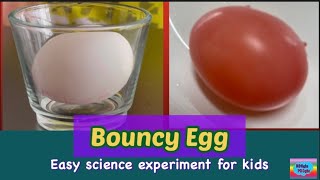 #science Easy DIY Bouncy Egg Experiment for kids to do at home || Color Changing Egg