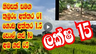 නිවසක් සමග අක්කර 2.5 ලක්ෂ 15 කුඹුරු අක්කරයක් සහිතව | kalu malli | aduwata idam