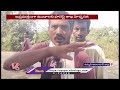 tiger hulchul at telangana maharashtra border v6 news