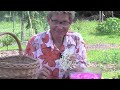 elderflower and rose syrup