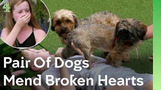 2 Rescue Dogs Saved a Broken Heart (Emotional) | The Dog House 🐶