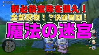 【ドラクエ10】実験＆検証！新必殺宝珠を狙え！全部現物、快適周回　魔法の迷宮【ドラクエ10オンライン】