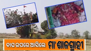 ମା' ଶାଳଗ୍ରାହୀଙ୍କ ଚମତ୍କାର #soniodia #news #odisha #odia #salagrahi #maa #cuttack #choudwar #tangi