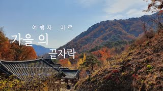 The end of autumn(가을의 끝자락) / GalaxyS10 5G / MavicAir2