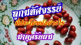 ลูกมหัศจรรย์มีประโยชน์อย่างไร #มาดูเลยครับ