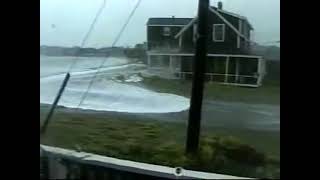 hurricane surfing with free bird