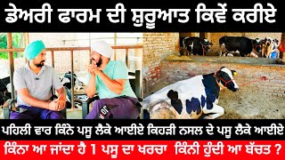 ਡੇਅਰੀ ਫਾਰਮ ਦੀ ਸ਼ੁਰੂਆਤ ਕਿਵੇਂ ਕਰੀਏ | NEW DAIRY FARM | DAIRY FARMING | NEW DAIRY FARM START 🔥🔥🔥