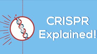 CRISPR Explained!