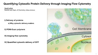 Core Facilities Seminar Series: Flow Cytometry