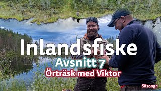 Inlandsfiske | Örträsk med Viktor | Avsnitt 7