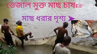 🇧🇩গ্রাম্য পরিবেশে কৃত্তিম খাবার না দিয়ে নির্ভেজাল ও সুস্বাদু মাছ ধরার দৃশ্য🥰❤️😍#facts #cute #funny #