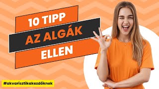 Akváriumi algák megfékezése: 10 TIPP