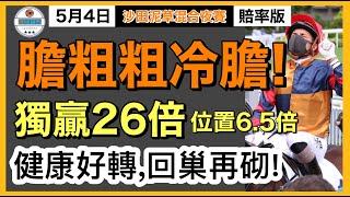 [小梁論馬]5月4日沙田泥草夜賽 | 膽粗粗冷膽! | 獨贏26倍 | 健康好轉,回巢必砌! | 賽馬KOL-小梁@KleagueworkshopKen