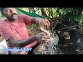 കൊടും മഴയത്തു കിട്ടിയ മീൻ youtube fishing video malayalam