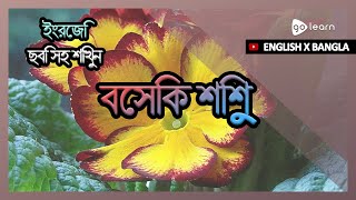 ইংরেজি ছবি সহ শিখুন | ইংরেজি শব্দভাণ্ডার বেসিক শিশু | Golearn