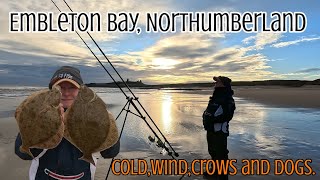 Northumberland | North East | Flounder | Fishing | Embleton.