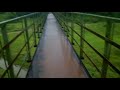 ayyappankovil hanging bridge