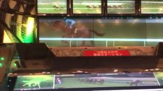 スタホ３発動馬、ゼンユージャム、１５戦目シンガポールIC