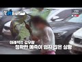 핫클립 대한민국 기상청의 예보 기술력 ytn 사이언스