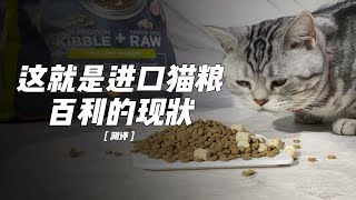 这就是进口猫粮百利的现状