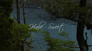 당신이 아닌 흰 안개뿐 | Habe - Sweet [가사해석/번역]