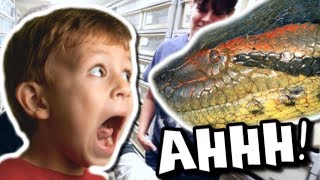 FACING FEAR OF SNAKES AND BANANA SNAKES!!!! | BRIAN BARCZYK