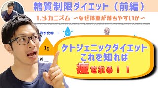 【ケトジェニック・糖質制限】これを知れば痩せれる！メカニズムは？やり方は？ケトーシス って？