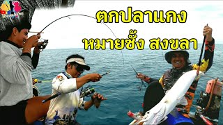 ตกปลาแกงหมายซั้ง สงขลา ได้มาเต็มลัง / เรืออิรวดี