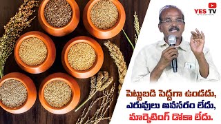 పెట్టుబడి పెద్దగా ఉండదు, ఎరువులు అవసరం లేదు, మార్కెటింగ్ డోకా లేదు