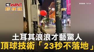 CTWANT 生活趣聞 / 土耳其浪浪才藝驚人　頂球技術「23秒不落地」