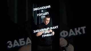 Есть некие пробелы в хронологии эволюции.... #standup #стендап