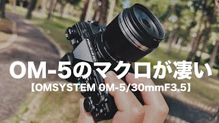 OM-5のマクロ性能めっちゃいいね。欲しいけどE-M5Ⅲとも迷う…