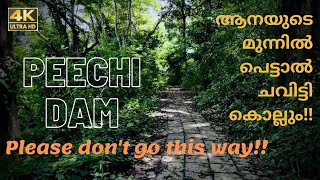 Peechi dam Thrissur | Dams in kerala | Dam | Kerala tourism | Eco tourism | Forest | Beautiful place