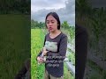 Selvi Ayunda Dan Anas Fikry Cocok Banget #videoshorts