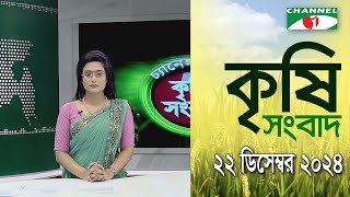 চ্যানেল আই কৃষি সংবাদ | Channel i Krishi News | 22 December, 2024 || Channel i News