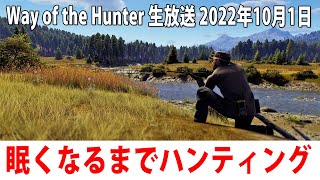 【ヒント禁止】眠くなるまでひたすらハンティングするライブ配信【Way of the Hunter アフロマスク 2022年10月1日】