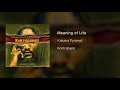 kabaka pyramid meaning of life official audio kontraband album