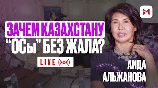 Насколько «общественен» Общественный совет Алматы?